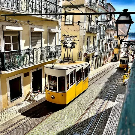 Cozy Apartment In Famous Bica